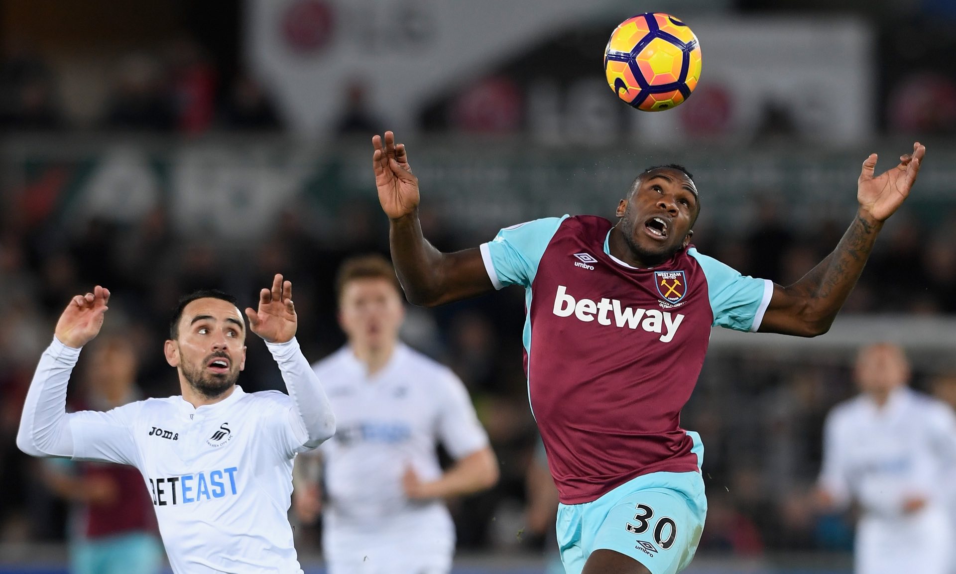 的人类情感 的人类情感